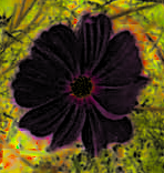 Beispiel für eine zweifache Anwendung des Wert invertieren Filters